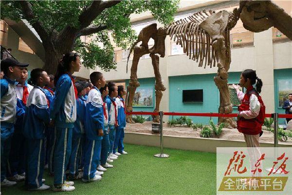 【第一眼】慶陽市博物館開展多項(xiàng)活動慶?！?·18國際博物館日”